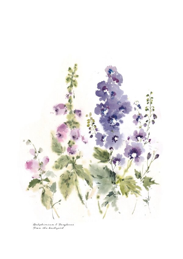 Delphinium & Foxgloves